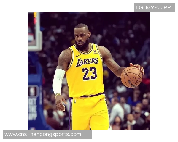 篮球明星名册全解析揭秘NBA传奇球员背后的故事与成就
